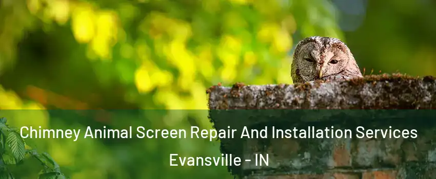  Chimney Animal Screen Repair And Installation Services Evansville - IN
