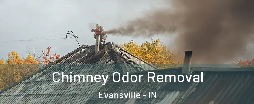  Chimney Odor Removal Evansville - IN
