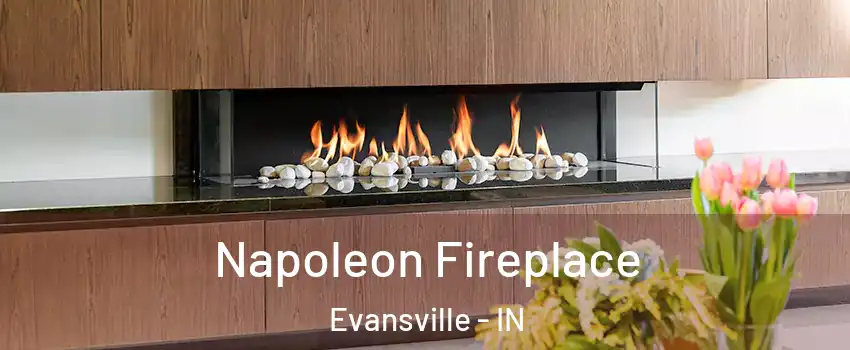  Napoleon Fireplace Evansville - IN